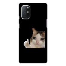 Бампер с принтом Мемы для OnePlus 9 – Кот в слезах