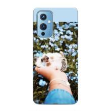 Чехлы с изображением разных животных для OnePlus 9 (Ежик на руках)