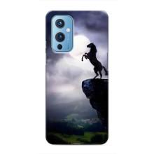 Чехлы с изображением разных животных для OnePlus 9 (Лошадь)