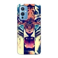 Чехлы с изображением разных животных для OnePlus 9 (Яркий Тигр)