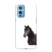 Чехлы с Лошадью дляOnePlus 9 (VPrint) (Чорний кінь)