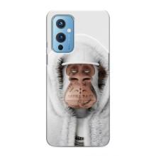 Чехлы с Обезьянами NFT для OnePlus 9 (AlphaPrint) (обезьяна NFT в тату)