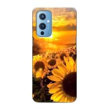 Чохол з Квітами для OnePlus 9 (поле соняшників)