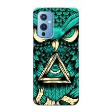 Чехол с птицами на OnePlus 9 (VPrint) (Сова с глазом)