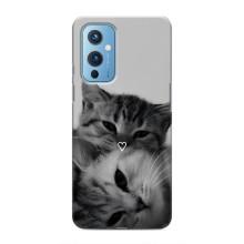 Чехол с рисунком кот на OnePlus 9 – Пара котов