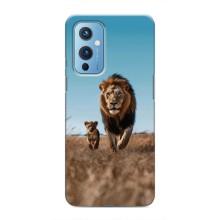 Чохол Король лев на ВанПлюс 9 – Мусафа і Сімба