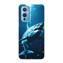 Чохол з картинкою 'Хижаки' для OnePlus 9 – Акула