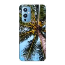 Силиконовый чехол с КАРТИНКАМИ лето для OnePlus 9 (AlphaPrint) (Пальма)