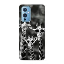 Силиконовый чехол с КАРТИНКАМИ лето для OnePlus 9 (AlphaPrint) (Жирафы в очках)