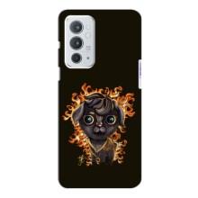 Чехлы на военную тематику для OnePlus 9RT (Бавовна мем)