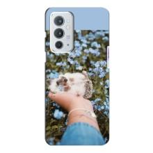 Чехлы с изображением разных животных для OnePlus 9RT (Ежик на руках)