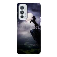 Чехлы с изображением разных животных для OnePlus 9RT (Лошадь)
