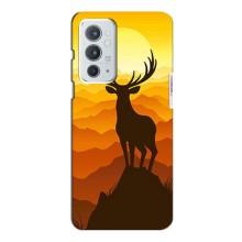 Чехлы с изображением разных животных для OnePlus 9RT (Силуэт Оленя)