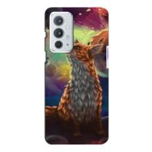 Чехлы с картинкой Лисички для OnePlus 9RT (VPrint)