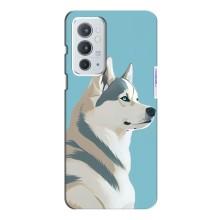 Чехол с Хаски для OnePlus 9RT - (AlphaPrint)