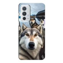 Чехол с Хаски для OnePlus 9RT - (AlphaPrint)