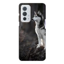 Чехол с Хаски для OnePlus 9RT - (AlphaPrint)