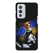 Чехлы с картинкой собаки Патрон для OnePlus 9RT (AlphaPrint) (Патрон собачка)