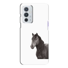 Чехлы с Лошадью дляOnePlus 9RT (VPrint) (Черный Конь)