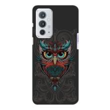 Чохли з принтом СОВИ для OnePlus 9RT (Сова на сірому)