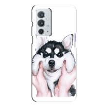 Чехлы с собаками для OnePlus 9RT (VPrint)