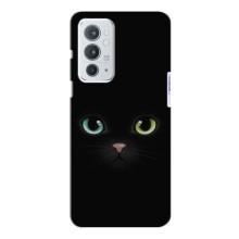 Чохол на тематику: Коти для OnePlus 9RT (Чорний Котик)