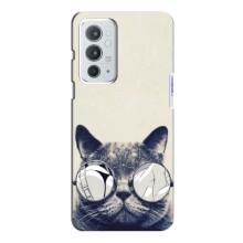Чохол на тематику: Коти для OnePlus 9RT (Модний кіт)
