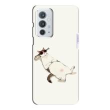 Чохол на тематику: Коти для OnePlus 9RT (Відпочинок)
