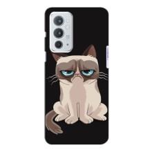 Чохол на тематику: Коти для OnePlus 9RT (Погляд кота)