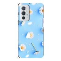 Чехол с Цветами для OnePlus 9RT (ромашки на голубом)