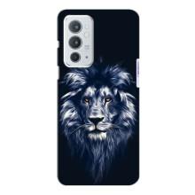 Чохол з картинкою на OnePlus 9RT (Лев – синій)