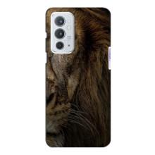 Чохол з картинкою на OnePlus 9RT (Гарний Лев)