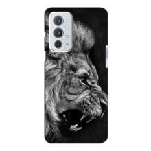 Чохол з картинкою на OnePlus 9RT (Злий Лев)