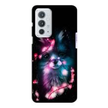 Чехол с Лисичкой для OnePlus 9RT (Черная Лиса)