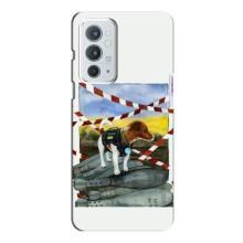 Чохол з принтом Песика Патрон для OnePlus 9RT (Хоробрий Патрон)