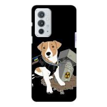 Чохол з принтом Песика Патрон для OnePlus 9RT (Пес Патрон з ракетою)