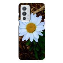 Чехол с ромашками на OnePlus 9RT (Белая ромашка)