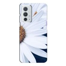 Чехол с ромашками на OnePlus 9RT (Пол ромашки)