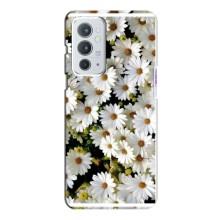 Чехол с ромашками на OnePlus 9RT (Рамка в ромашках)