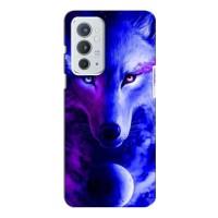 Чехол с Волком на OnePlus 9RT (Арт-Волк)