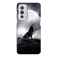 Чехол с Волком на OnePlus 9RT (Волк и луна)