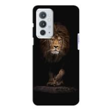 Чехол со Львом для OnePlus 9RT (VPrint)