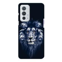 Чехол со Львом для OnePlus 9RT (VPrint)
