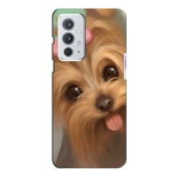 Чехол (ТПУ) Милые собачки для OnePlus 9RT – Йоршенский терьер