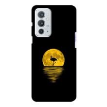 Літній Чохол на OnePlus 9RT (Жовтий Захід сонця)