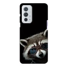 Силиконовый Чехол с Енотами на OnePlus 9RT (Стильный Енот)