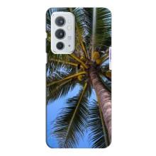 Силіконовий чохол з КАРТИНКАМИ літо для OnePlus 9RT (AlphaPrint)