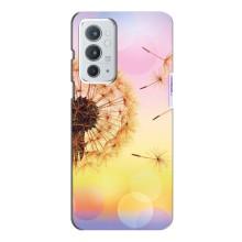 Силиконовый Чехол с одуванчиками на OnePlus 9RT (Цветок-одуванчик)