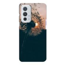 Силиконовый Чехол с одуванчиками на OnePlus 9RT (Красивый одуванчик)