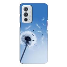Силиконовый Чехол с одуванчиками на OnePlus 9RT (Одуванчик на голубом)